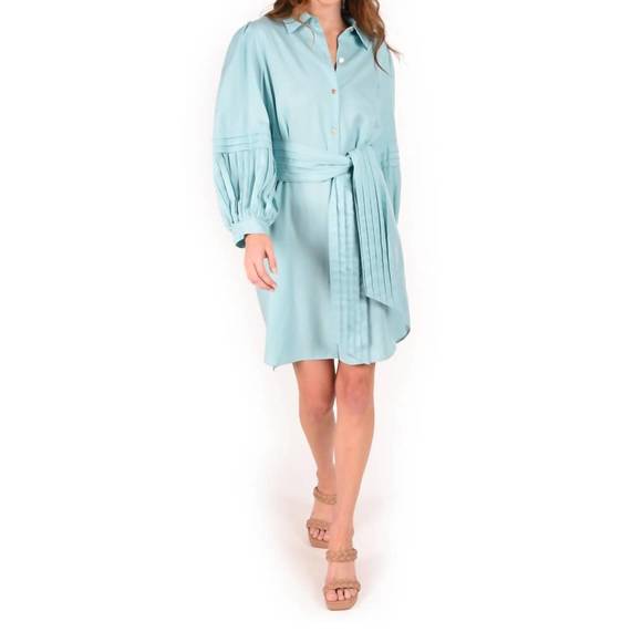 NEW EMILY MCCARTHY oxford dress in aqua haze - Picture 1 of 3